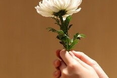 Kinder begegnen Abschied, Verlust, Sterben und Tod