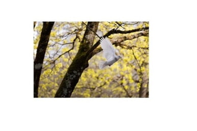 Gott im Krieg und die unendliche Sehnsucht nach Frieden