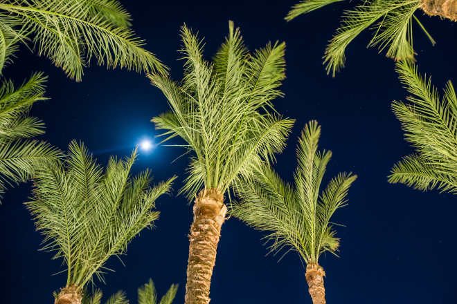 In den Weihnachtsferien sind B&uuml;ro und Medienstelle geschlossen! Wir w&uuml;nschen Ihnen gesegnete Weihnachten und ein gutes Ankommen im neuen Jahr 2026!