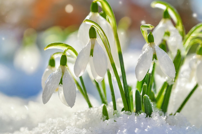 &Ouml;ffnungszeiten in den Faschingsferien: B&uuml;ro und Medienstelle 8:30 - 12:00 Uhr (ohne Beratung)